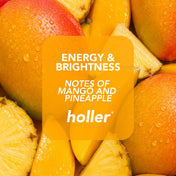 Mango Medley